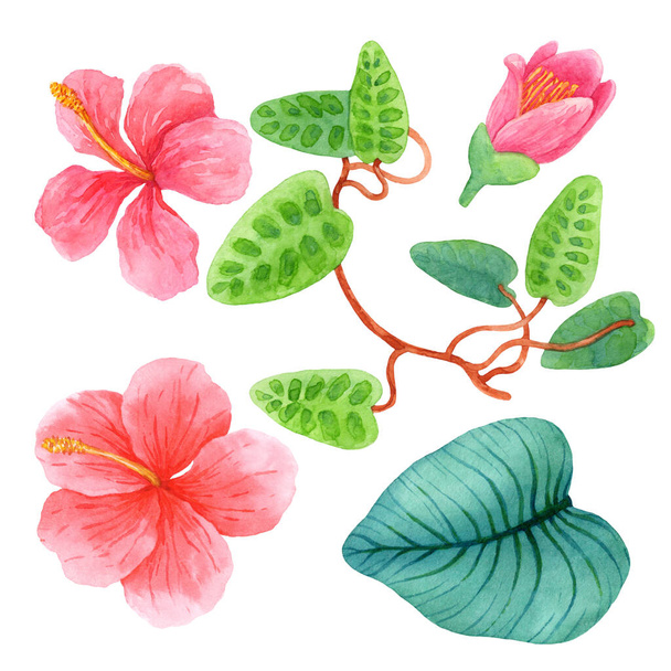 Watercolor set of pink and red tropical flowers and greenery - 写真・画像