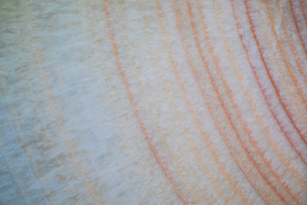Textura de losa de mármol con venas de colores - Foto, imagen