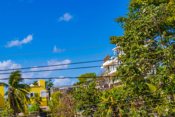 Palm trees nature and hotels and apartments in Playa del Carmen Mexico. - 写真・画像