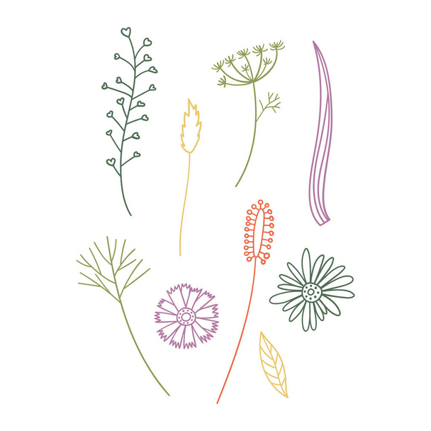 Μεμονωμένα διανυσματικά σύνολα αφηρημένα πολύχρωμα φύλλα και λουλούδια γραμμή τέχνης  - Διάνυσμα, εικόνα