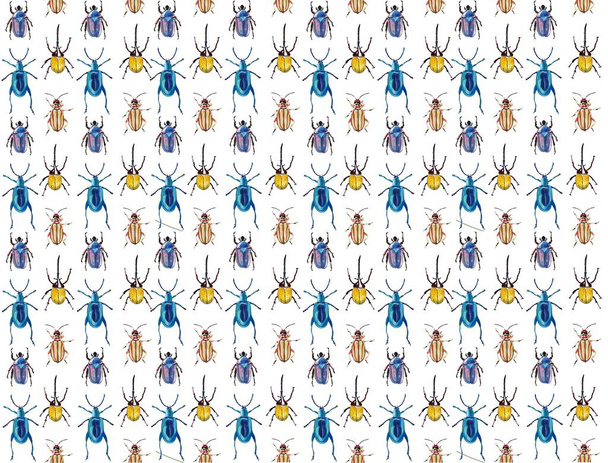 insect and bug patterns for cards fabrics planet - Foto, imagen