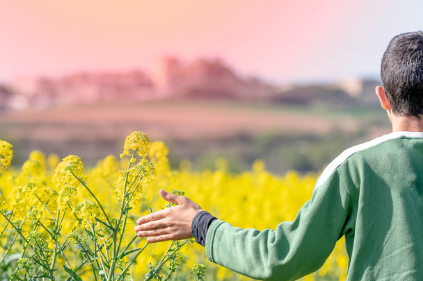 αγόρι με πράσινο πουλόβερ με απλωμένο το χέρι σε ένα κίτρινο χωράφι με κίτρινα άνθη ελαιοκράμβης - Φωτογραφία, εικόνα