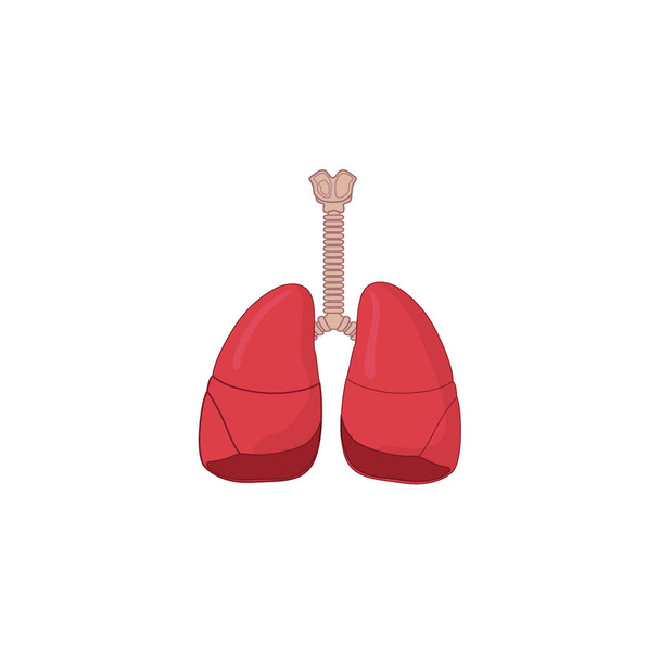 Icona del sistema respiratorio umano Illustrazione vettoriale isolata su sfondo bianco. Respirare, bronchi, bronchioli, bronchi, polmoni, polmoni icona per il concetto di assistenza medica o sanitaria - Vettoriali, immagini