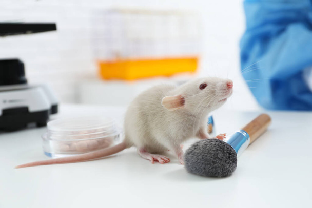 Rat and makeup products on table in chemical laboratory. Animal testing - Photo, image