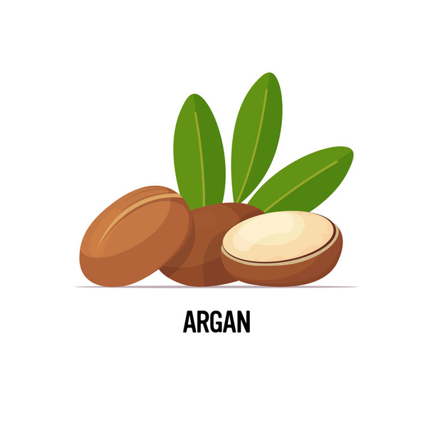 fresh argan seeds icon tasty ripe nuts isolated on white background healthy food concept - Vetor, Imagem