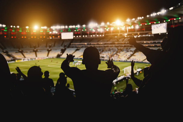 Football fans at the stadium. - Photo, Image