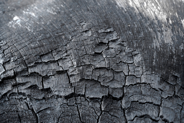 Surface of wood charcoal - Foto, immagini