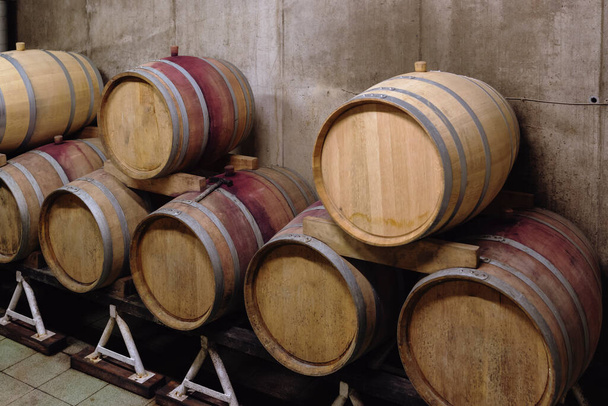 Wooden oak barrels in a winery nearby Batorove Kosihy, Slovakia - Photo, Image