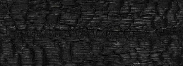 Cracked and scratched surface of a burned and charred wooden plank, burnt to ashes. - Фото, изображение