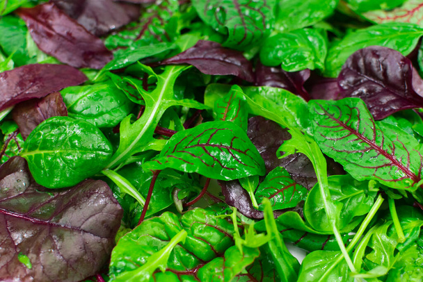 Salade mix bladeren achtergrond. Vers saladepatroon met rucola, paarse sla, spinazie, frisee en snijblad - Foto, afbeelding