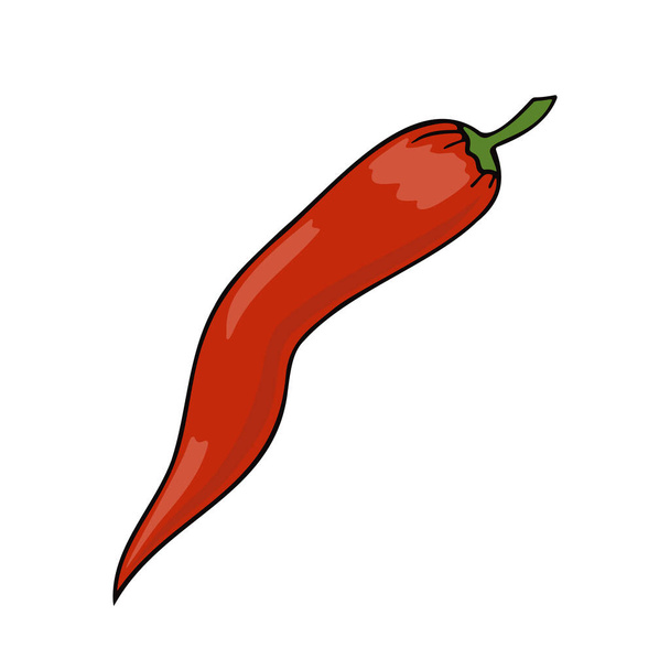 Vektorová ilustrace červené chilli papričky - Vektor, obrázek