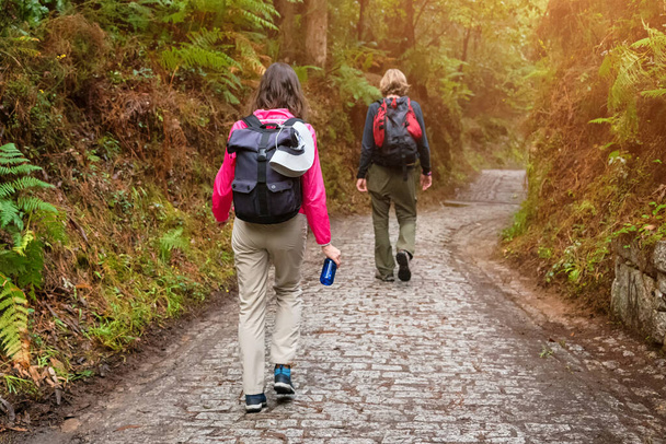 Group of friends walking with backpacks in forest from back. Backpackers hiking in the woods. Adventure, travel, tourism, active rest, hike and people friendship concept - Photo, Image