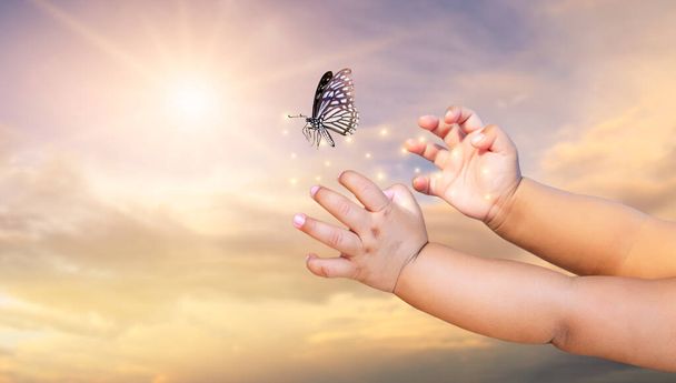 Маленький ребенок освобождает бабочку от мгновения Концепции свободы - Фото, изображение