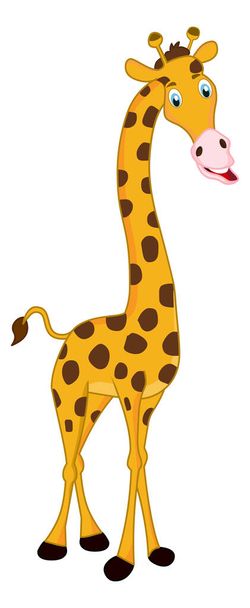 Giraffe Wild animal cartoon vector isolated on white background - Vector, Imagen