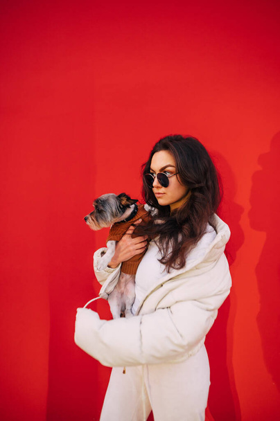 Κάθετο πορτρέτο μιας μοδάτης γυναίκας με λευκό casual ντύσιμο και γυαλιά ηλίου αγκαλιάζει το κατοικίδιο ζώο της - York terrier, κοιτάζοντας στην άκρη, στέκεται σε ένα απομονωμένο κόκκινο φόντο. - Φωτογραφία, εικόνα