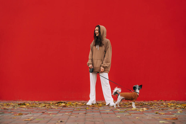 Hymyilevä iloinen nainen pienen koiransa kanssa yorkshire terrieri nauraa ja tuntee positiivista poseeratessaan punaisen taustan edessä. - Valokuva, kuva