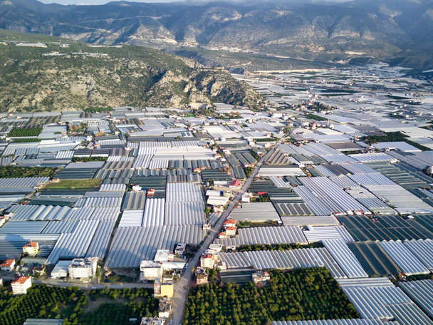 Vista aérea de drones de ángulo alto de los campos de invernadero de la plantación de verdes en Demre - provincia de Antalya en Turquía - Foto, imagen