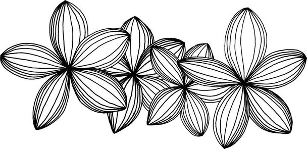 floral pattern line drawn by hand, seamless and repeatable - Valokuva, kuva