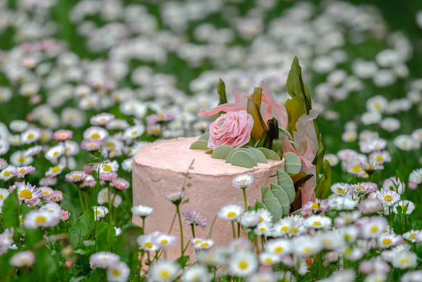 Вкусный чудесный веган-тарт в розово-зеленых тонах, украшенный розой и листьями натуральных материалов среди весенних цветов - английской дахи - Bellis perhabs. Закрытие, выборочная фокусировка, пространство для копирования - Фото, изображение