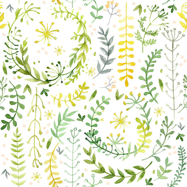 Pattern of flowers and grasses painted with watercolors on white background. Green leaves and flowers on a white background. - Φωτογραφία, εικόνα