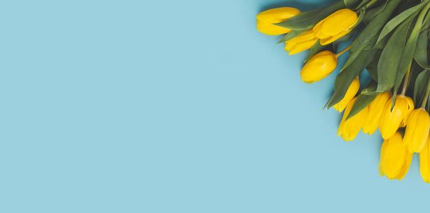 Keltaiset kukat tulppaanit kimpussa sinisellä taustalla. Kevään onnittelukortti. Näkymä ylhäältä. Kopioi tilaa tervehdystekstillesi. Kansainvälinen naistenpäivä - Valokuva, kuva