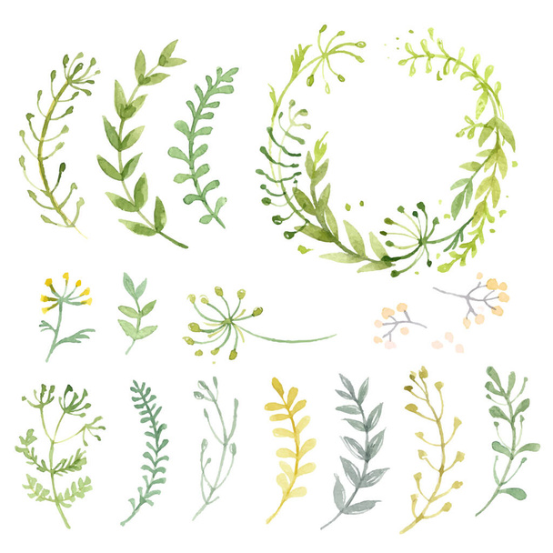 Set of flowers painted in watercolor on white paper. Sketch of flowers and herbs. Wreath, garland of flowers. - Vector, afbeelding