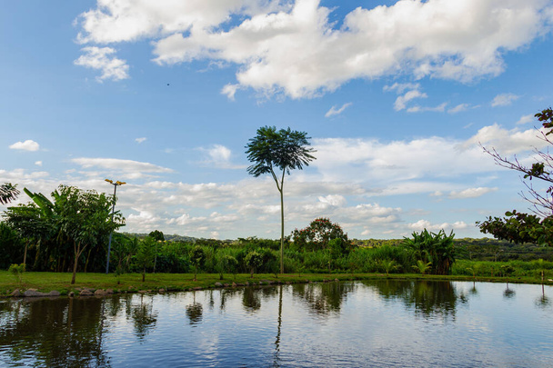 Lake of Balnerio Park in de stad Goinia. Meer met verschillende bomen rond en blauwe lucht met wat wolken. - Foto, afbeelding