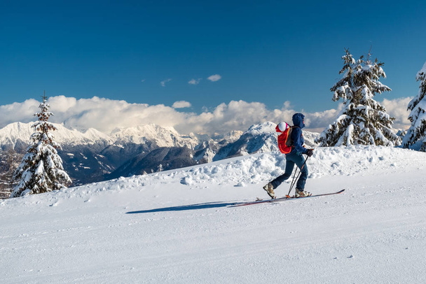 On Mount Zoncolan, Carnic alps after a big snowfall. Udine province, Friuli-Venezia Giulia region, Italy - Zdjęcie, obraz