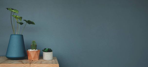 Pianta verde in vaso e vaso sul tavolo contro il muro grigio. Decorativo una casa per natura, stile pulito e minimalista - Foto, immagini