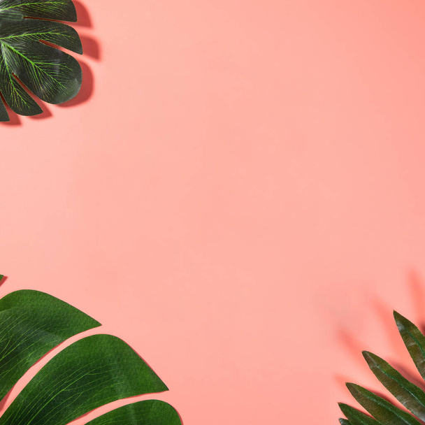 Espacio de copia rosa vacío con hojas tropicales - Foto, imagen