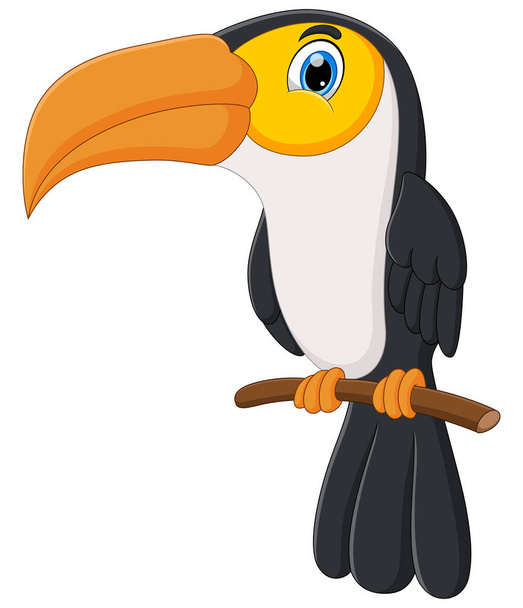 carino toucan uccello cartone animato isolato su sfondo bianco - Vettoriali, immagini