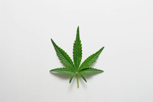 Gyönyörű cannabis levél elszigetelt fehér háttérrel. Friss marihuána növény közelkép, felülnézet, lapos fektetés. - Fotó, kép