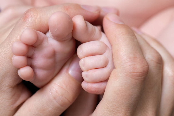 Mamá caucásica está sosteniendo a un bebé recién nacido por los pequeños pies. Los dedos del bebé y las manos de mamá están cerca. El concepto de una infancia feliz, maternidad, cuidado del bebé paterno, amar a la familia feliz. - Foto, Imagen