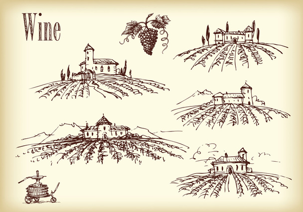 Castillos con viñedos
 - Vector, Imagen