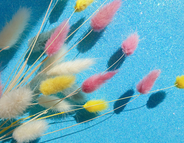  квітковий лагуна пухнаста на кольоровій фоновій рамці
 - Фото, зображення