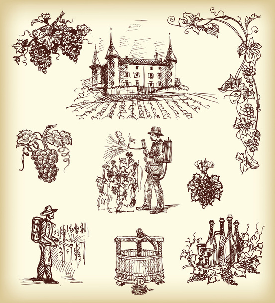 Elementos de vinho desenhados à mão
 - Vetor, Imagem