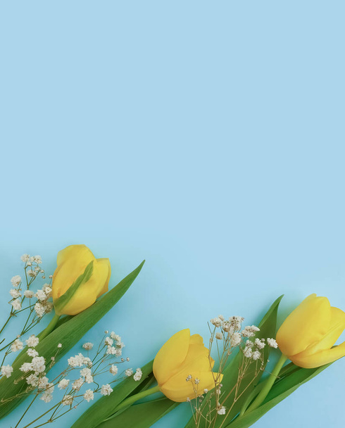  tulip flower on a colored background march - Foto, Imagen