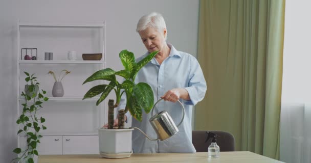 Emekli yaşlı insanlar, yalnız ev hanımı büyükanne Kafkasyalı yaşlı kadın ev işleriyle ilgileniyor sulama konservesi ile yeşil bitkileri nemlendiriyor evde okunan soğuk su kullanıyor, eko bahçe konsepti - Video, Çekim