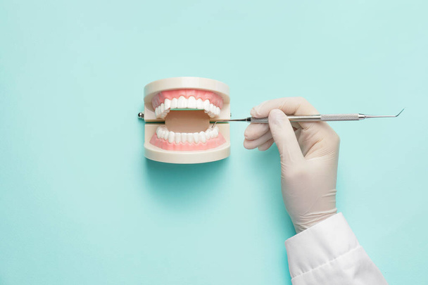 Dentista com ferramenta e modelo de mandíbula em fundo de cor - Foto, Imagem