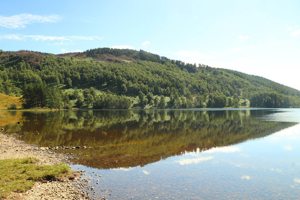 Wiosłując w Loch Pityoulish w lecie - Zdjęcie, obraz