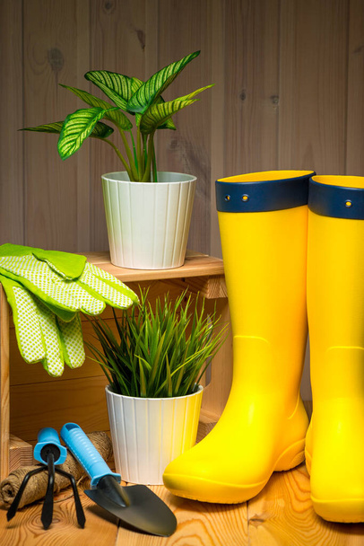 gardening, farming and planting concept - garden tools, flower seedlings and rubber boots on wooden background  - Photo, Image