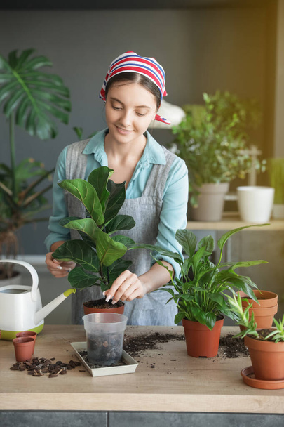 家で植物の世話をしている若い女性 - 写真・画像