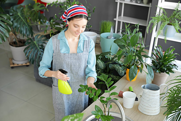 Young woman taking care of her plants at home - Fotoğraf, Görsel