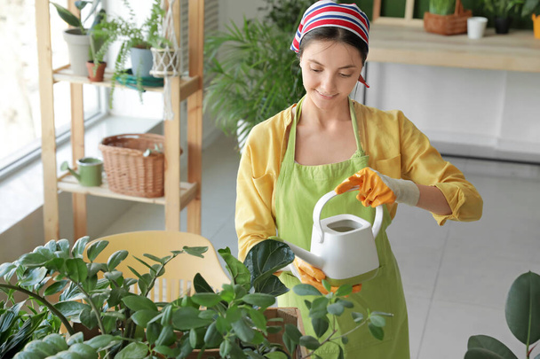 家で植物の世話をしている若い女性 - 写真・画像