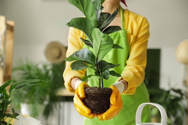 Giovane donna prendersi cura della sua pianta a casa - Foto, immagini
