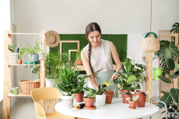 Nuori nainen hoitaa hänen kasveja kotona - Valokuva, kuva