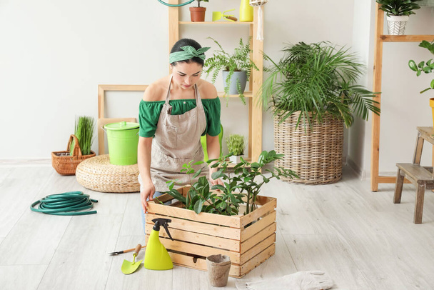 Jovem mulher cuidando de suas plantas em casa - Foto, Imagem