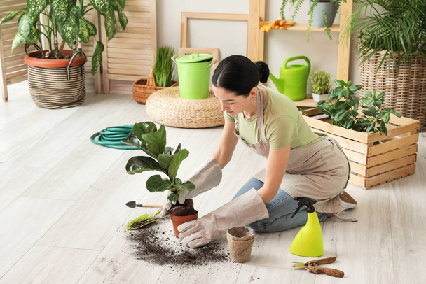 Mujer joven cuidando de su planta en casa - Foto, imagen