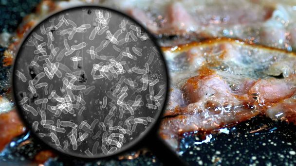 Searching for bacteria in bacon - Photo, Image