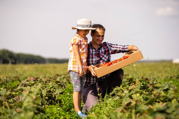 Pai e criança segurando morangos selvagens colhidos no verão - Foto, Imagem